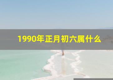 1990年正月初六属什么