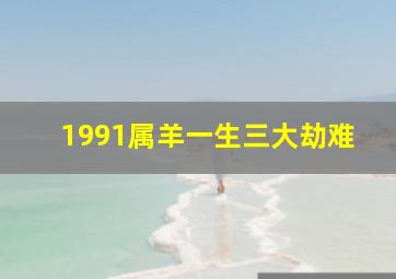 1991属羊一生三大劫难