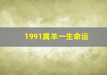 1991属羊一生命运