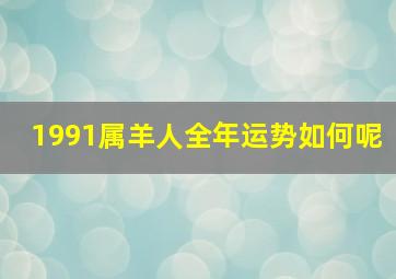 1991属羊人全年运势如何呢