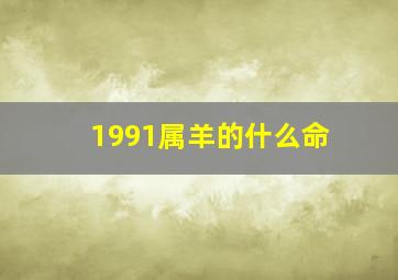 1991属羊的什么命