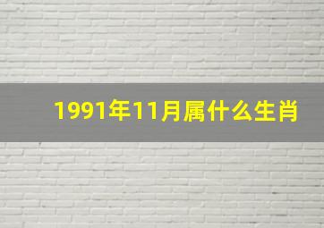 1991年11月属什么生肖