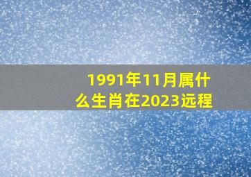 1991年11月属什么生肖在2023远程