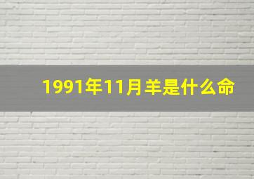 1991年11月羊是什么命