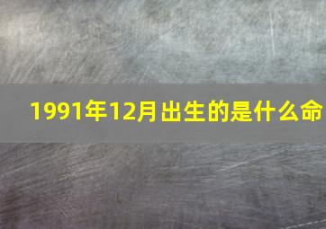 1991年12月出生的是什么命