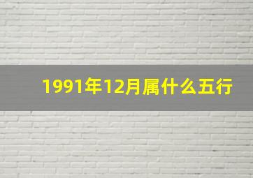 1991年12月属什么五行