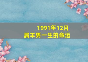 1991年12月属羊男一生的命运