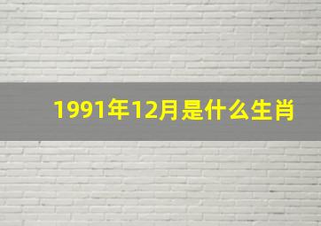 1991年12月是什么生肖