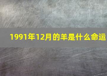 1991年12月的羊是什么命运