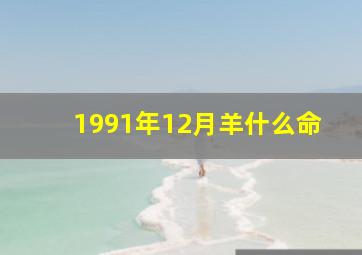 1991年12月羊什么命