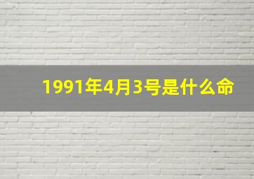 1991年4月3号是什么命