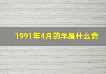 1991年4月的羊是什么命