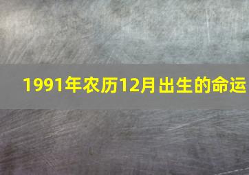 1991年农历12月出生的命运