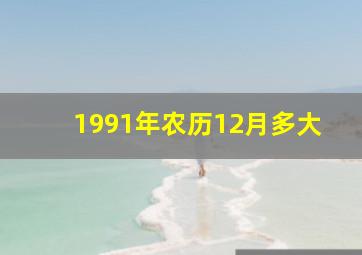 1991年农历12月多大