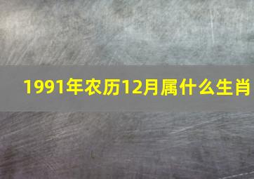 1991年农历12月属什么生肖