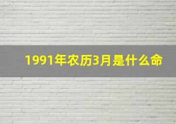 1991年农历3月是什么命