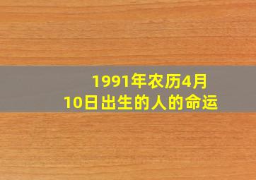 1991年农历4月10日出生的人的命运