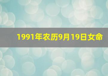 1991年农历9月19日女命