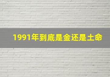 1991年到底是金还是土命