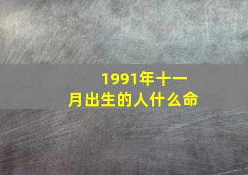 1991年十一月出生的人什么命