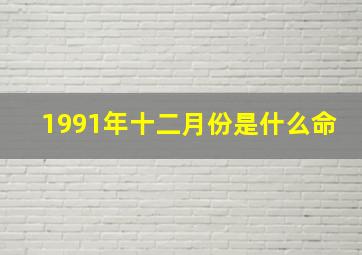 1991年十二月份是什么命