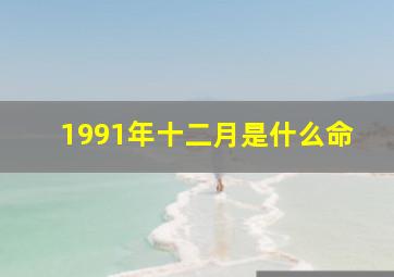 1991年十二月是什么命