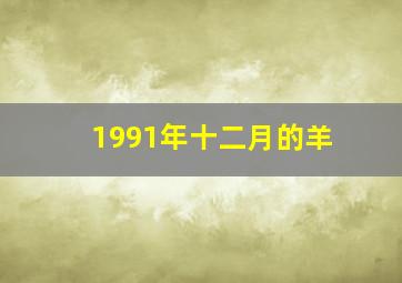 1991年十二月的羊