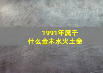 1991年属于什么金木水火土命