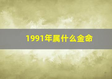 1991年属什么金命