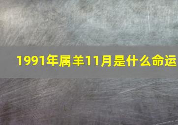 1991年属羊11月是什么命运