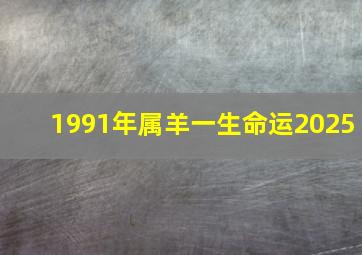 1991年属羊一生命运2025