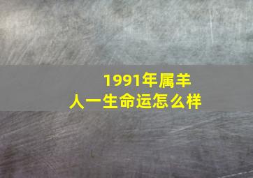 1991年属羊人一生命运怎么样