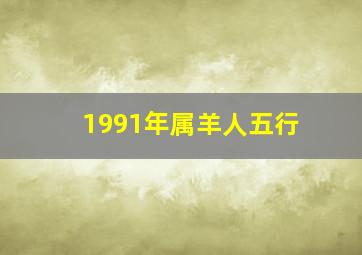 1991年属羊人五行