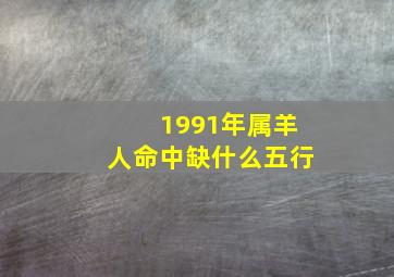 1991年属羊人命中缺什么五行