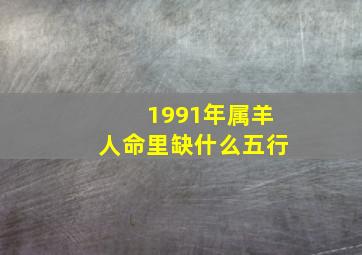 1991年属羊人命里缺什么五行