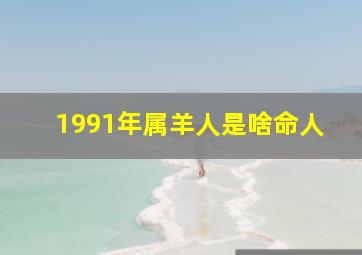 1991年属羊人是啥命人