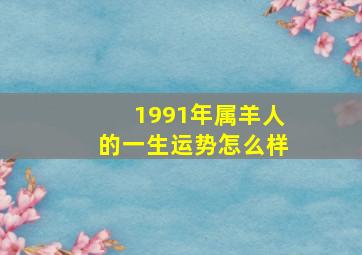 1991年属羊人的一生运势怎么样