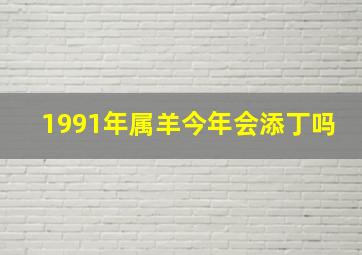 1991年属羊今年会添丁吗