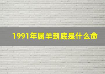 1991年属羊到底是什么命