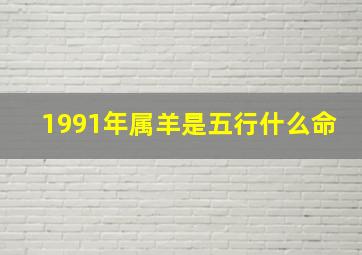 1991年属羊是五行什么命