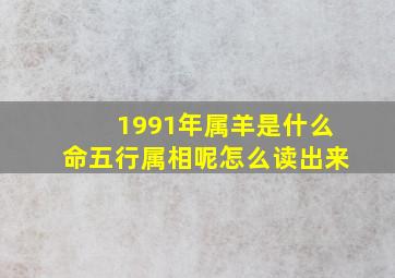 1991年属羊是什么命五行属相呢怎么读出来