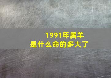 1991年属羊是什么命的多大了