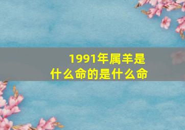 1991年属羊是什么命的是什么命