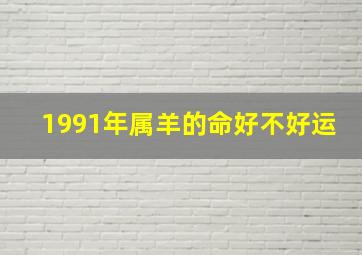 1991年属羊的命好不好运