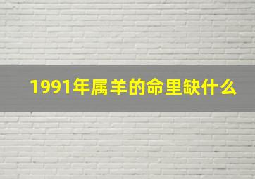 1991年属羊的命里缺什么