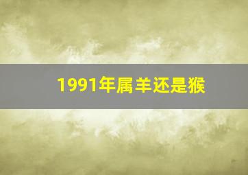 1991年属羊还是猴