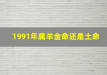 1991年属羊金命还是土命