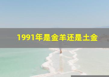 1991年是金羊还是土金