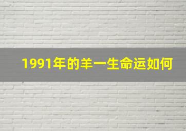 1991年的羊一生命运如何