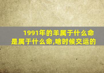 1991年的羊属于什么命是属于什么命,啥时候交运的